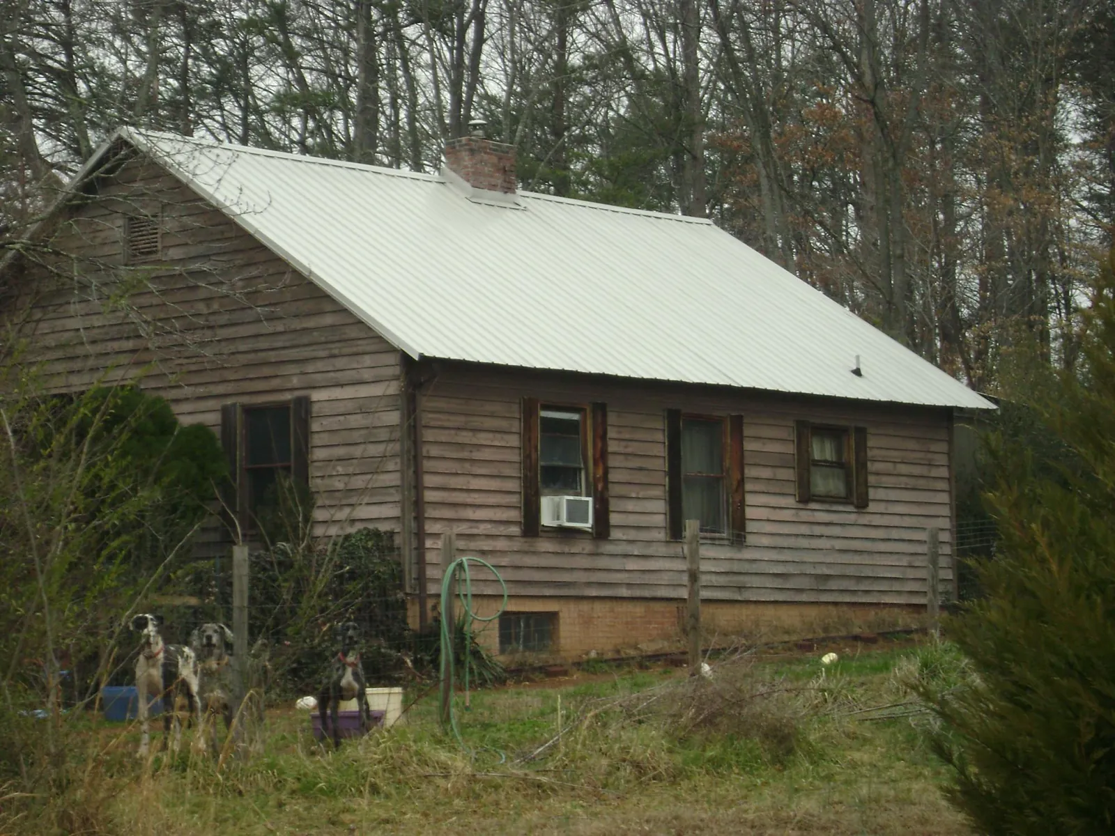 White metal roof on an old wood sided farmhouse, from a Asphalt Shingle Roof Repair job in Whitmore